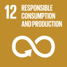 12. Responsible Consumption and Production