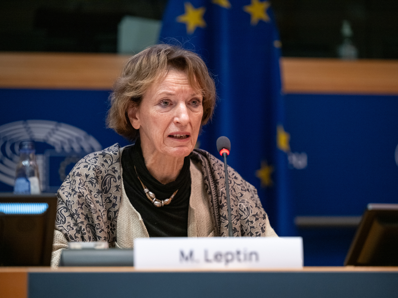 Maria Leptin, Presidente dello European Research Council (ERC)