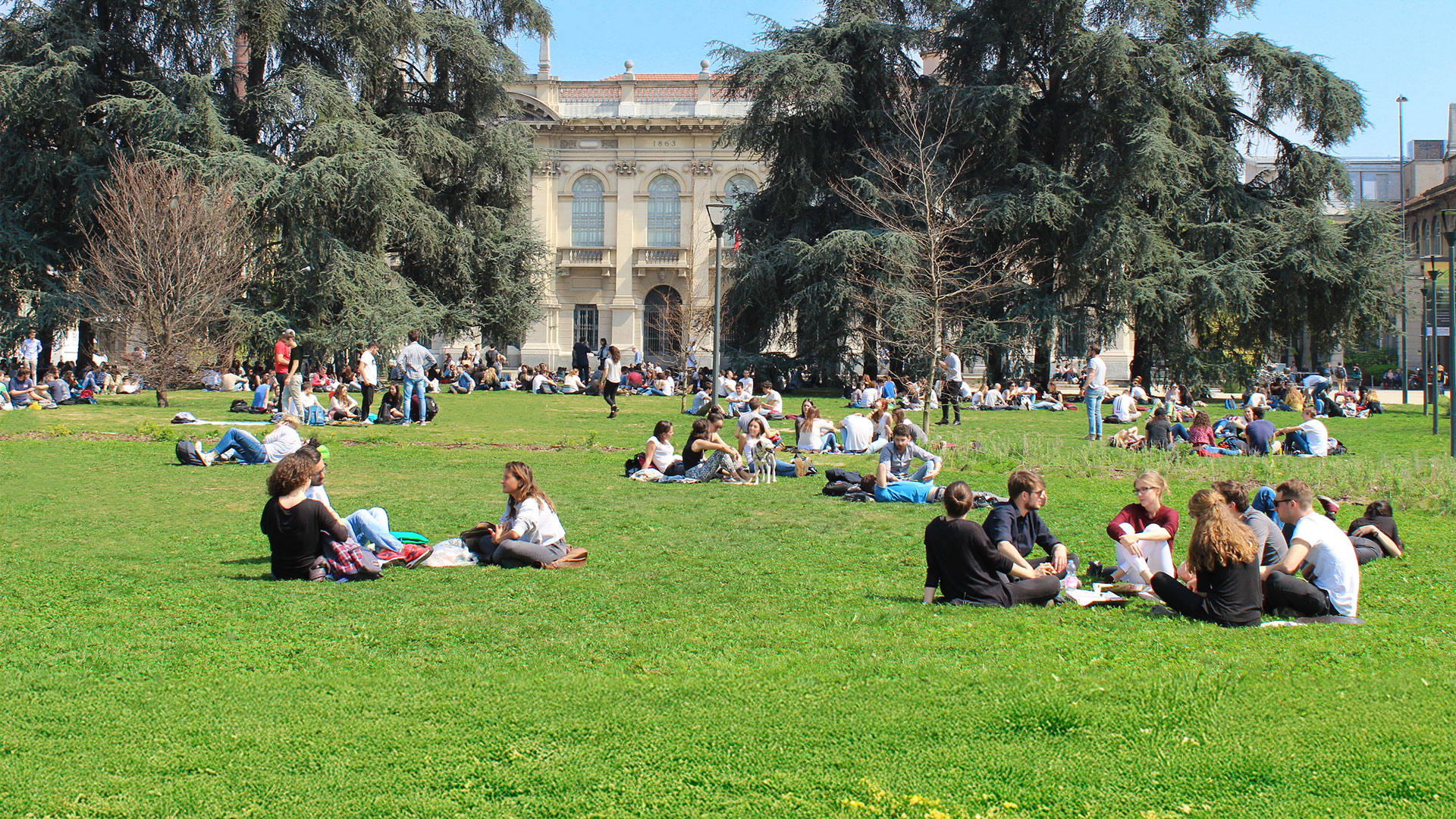 Esami di Stato - polimi