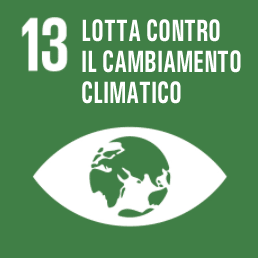 13. Lotta contro il cambiamento climatico