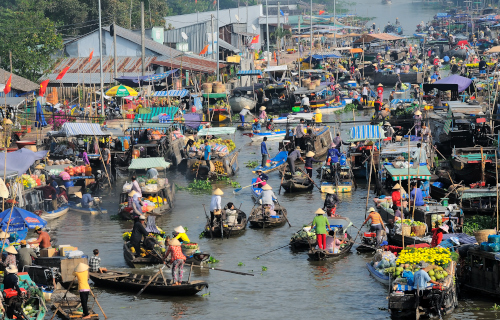 The Mekong delta